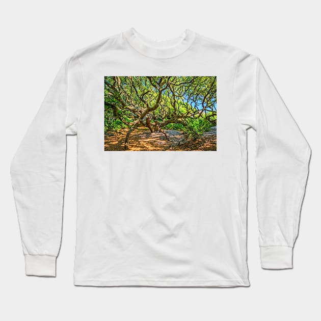 Cumberland Island National Seashore Long Sleeve T-Shirt by Gestalt Imagery